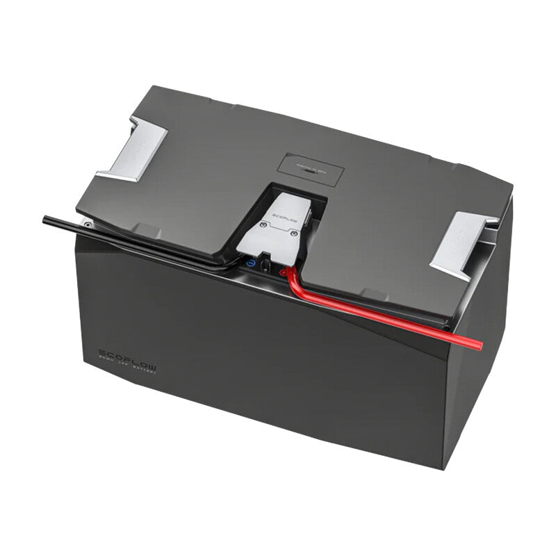 EcoFlow LFP Batterie-Polaritätsadapter